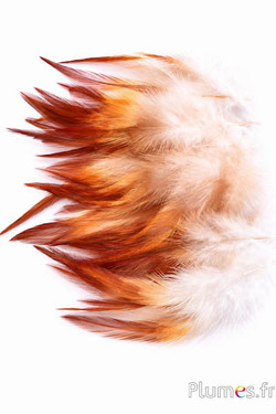 Gallo Ombré - sbiancato - 10-15 cm - crema-marrone-oro azteco
